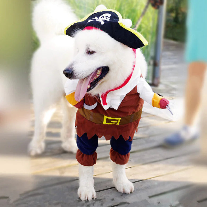 Pirate Dog Costume for Dogs