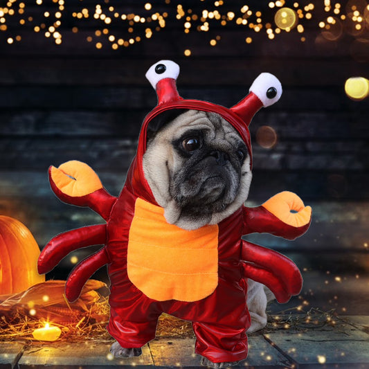Lobster Costume for Dogs or Cats