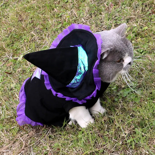 Wizard Costume for Dogs or Cats