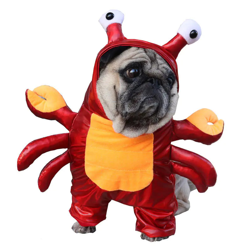 Lobster Costume for Dogs or Cats