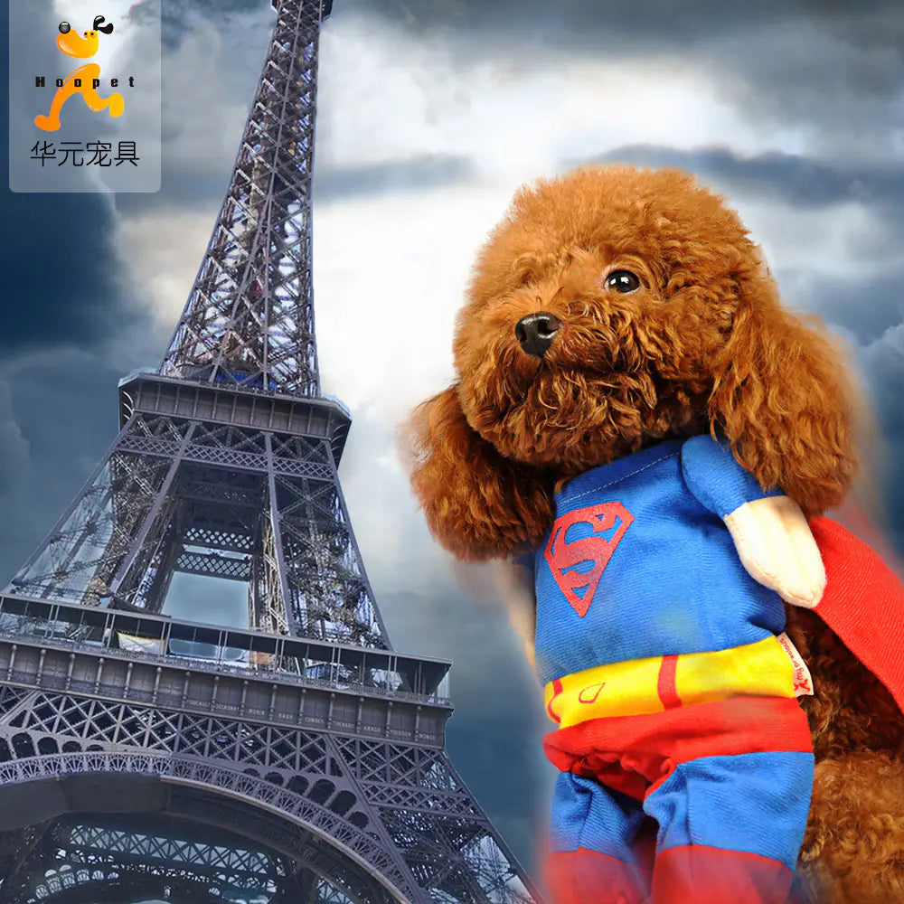 Superman Pet Dog Costume Outfit for Small Dogs
