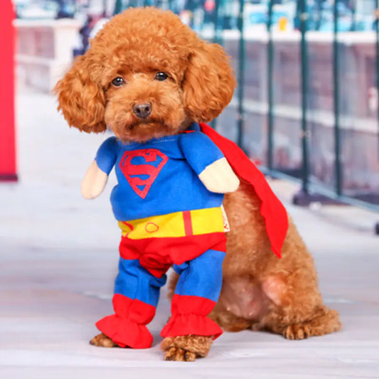 Superman Pet Dog Costume Outfit for Small Dogs