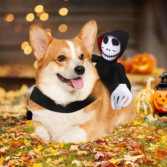 Little Ghost Rider Vest Funny Halloween Pet Costume