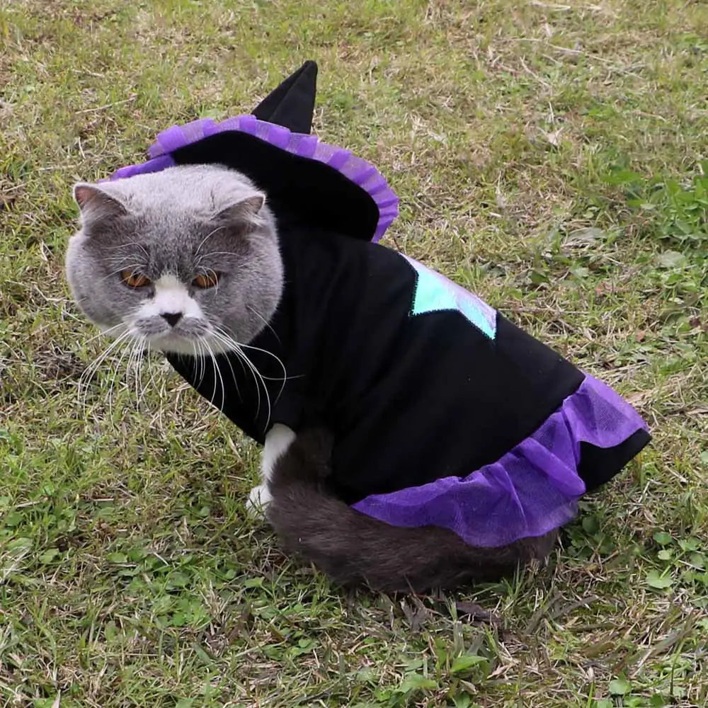 Wizard Costume for Dogs or Cats